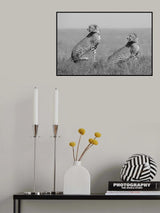 What's going on here around? Poster och Canvastavla
