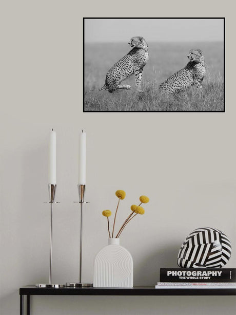 What's going on here around? Poster och Canvastavla