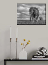 Mother and baby Poster och Canvastavla