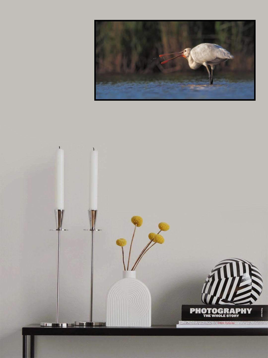 Fishing at sunset Poster och Canvastavla