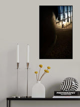 The Bicyclist Poster och Canvastavla