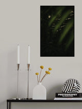 Botanical Series - Leaves 2/5 Poster och Canvastavla