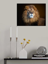 Staying Alert Poster och Canvastavla