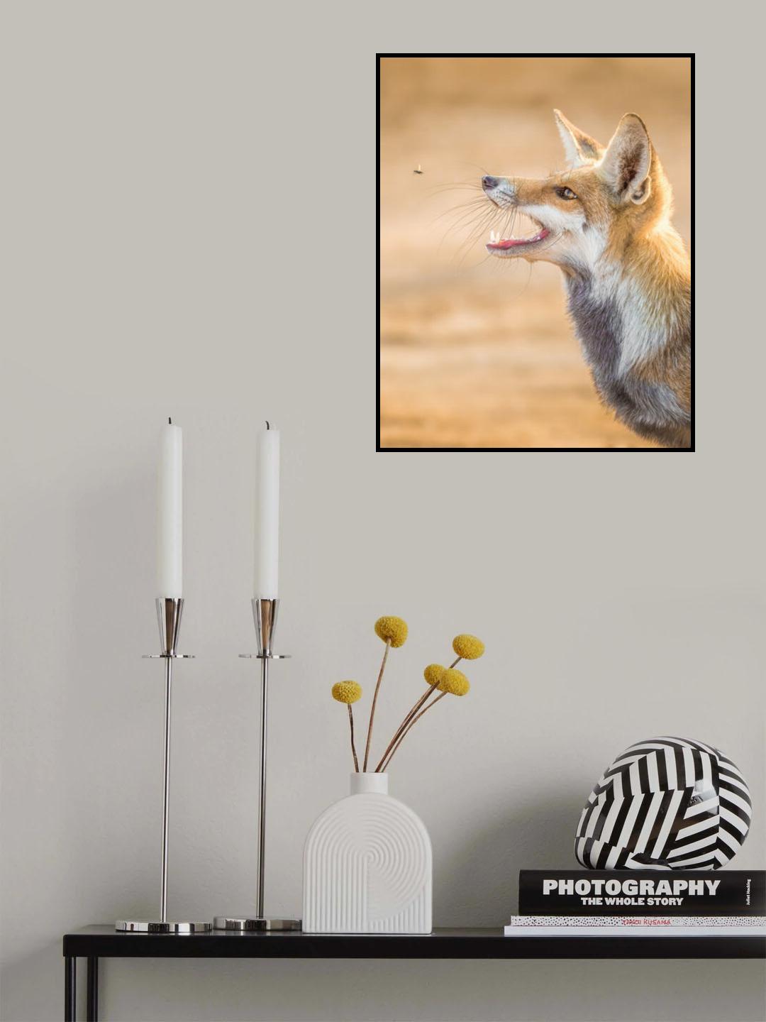 Fox vs Horse Fly Poster och Canvastavla