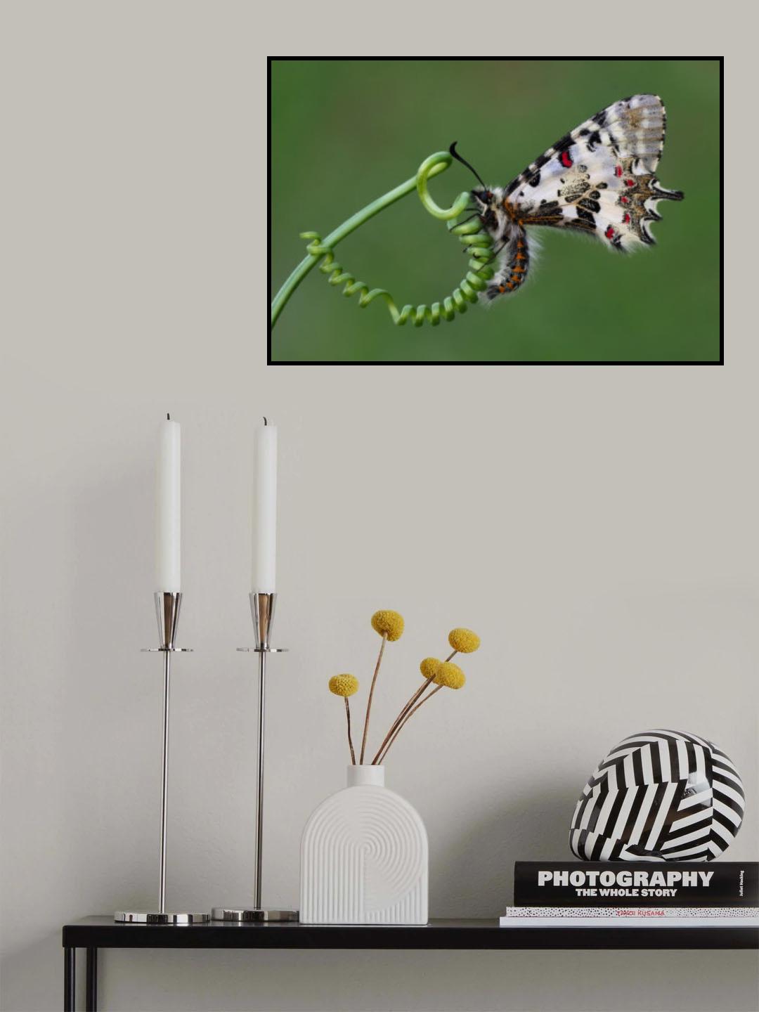 Spring Poster och Canvastavla