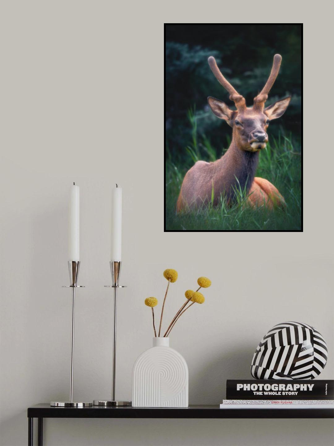 A cozy day Poster och Canvastavla
