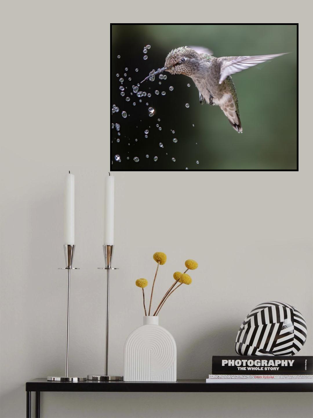 Happy hummingbird Poster och Canvastavla