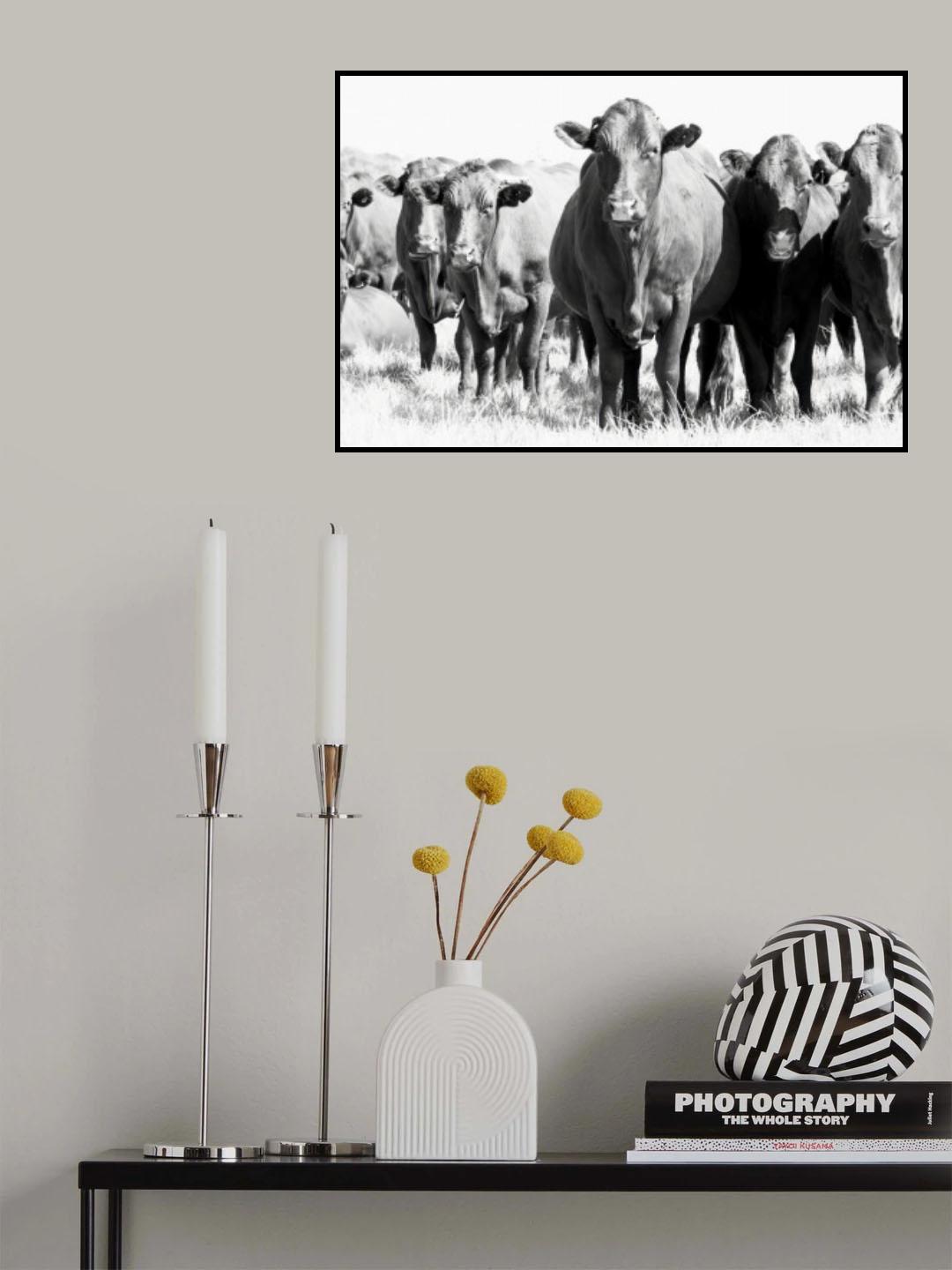 Herd In Black & White Poster och Canvastavla