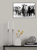 Herd In Black & White Poster och Canvastavla