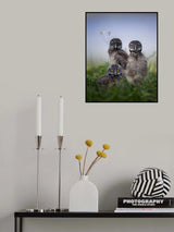 Siblings Poster och Canvastavla