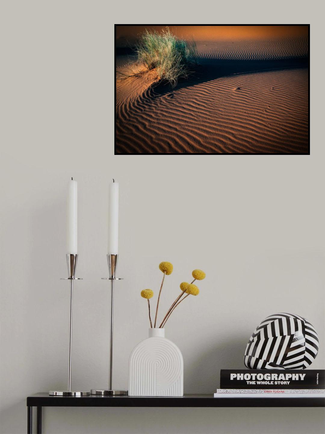tussocks and tracks Poster och Canvastavla