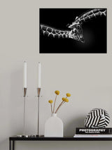 Affection　 Poster och Canvastavla