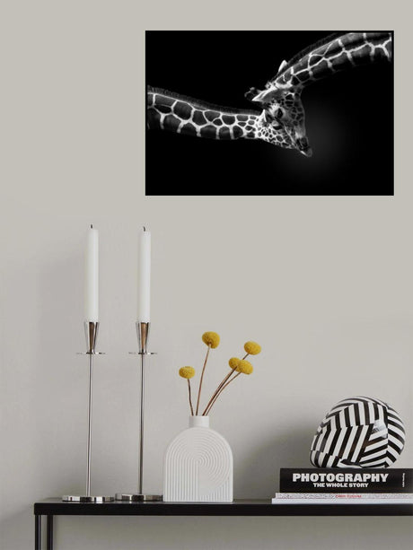 Affection　 Poster och Canvastavla