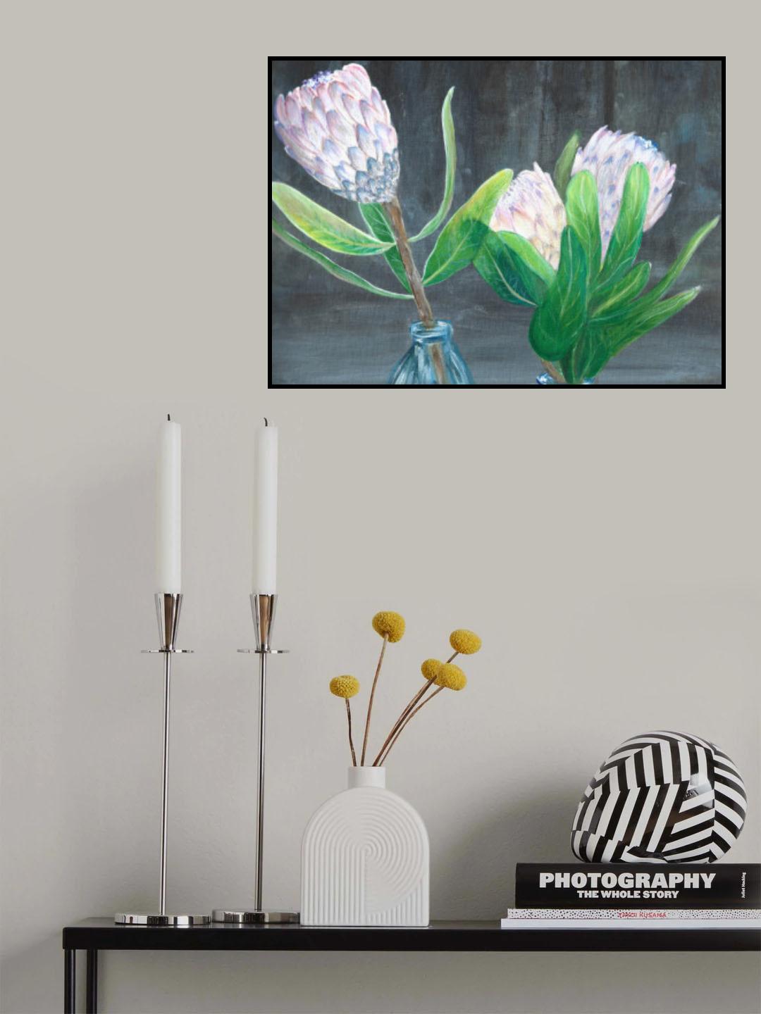 Protea Poster och Canvastavla