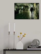 Shadow Poster och Canvastavla