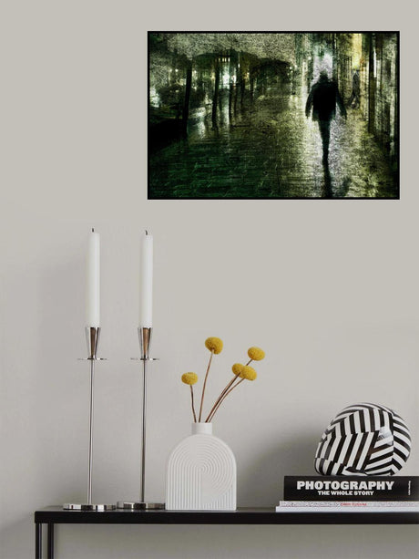 Shadow Poster och Canvastavla