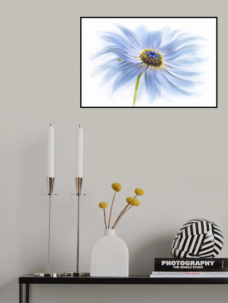 Daisy delight Poster och Canvastavla