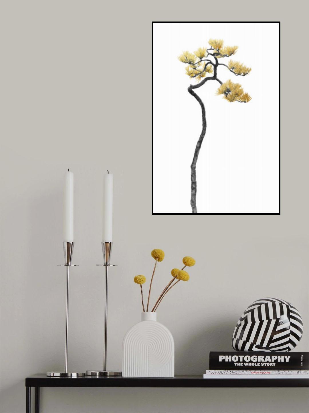 Bonsai Tree 05 Poster och Canvastavla
