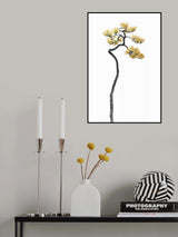 Bonsai Tree 05 Poster och Canvastavla