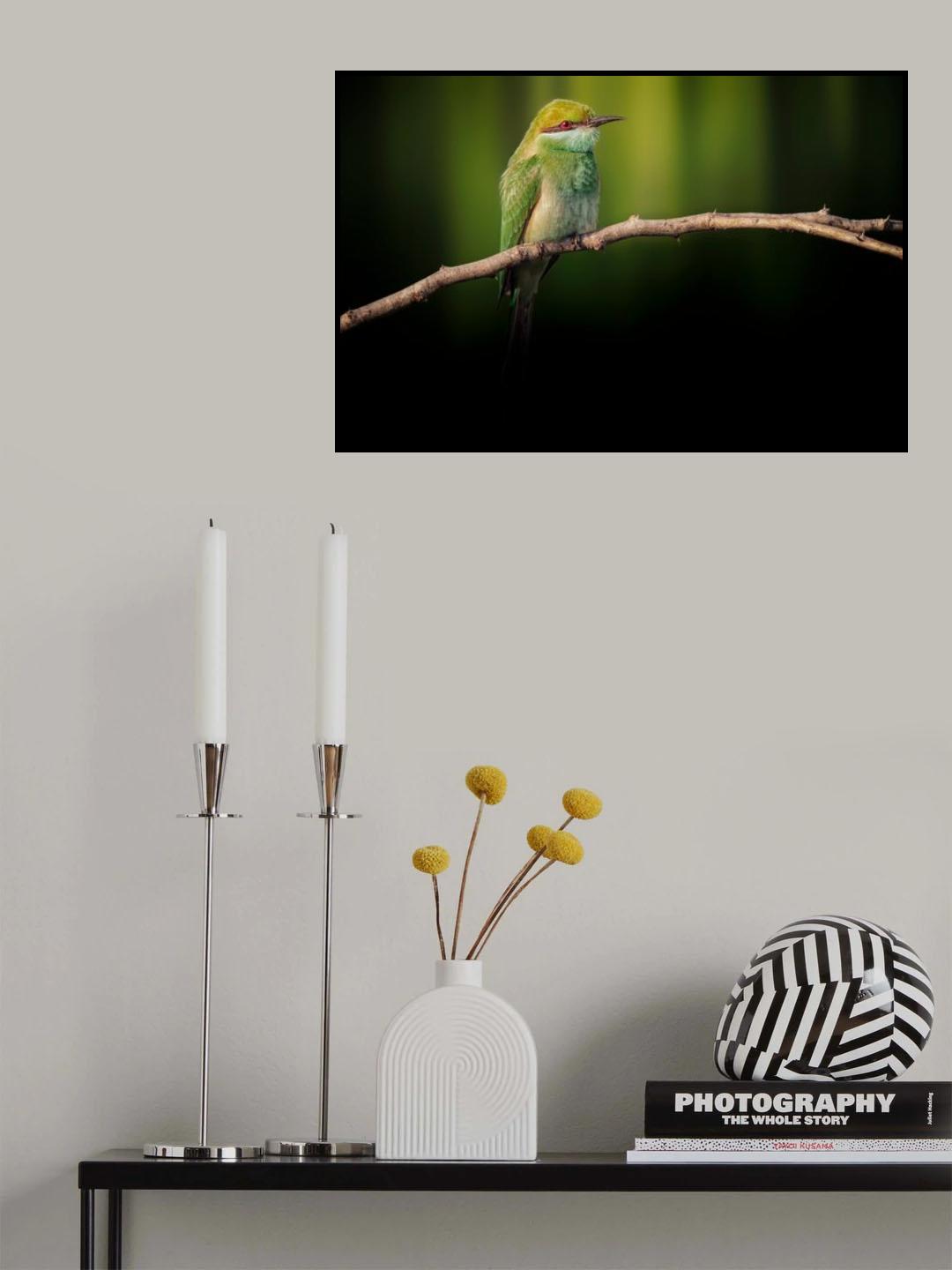 Little Bee-eater Poster och Canvastavla