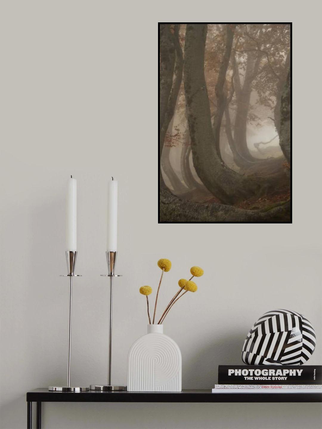twisted beeches Poster och Canvastavla