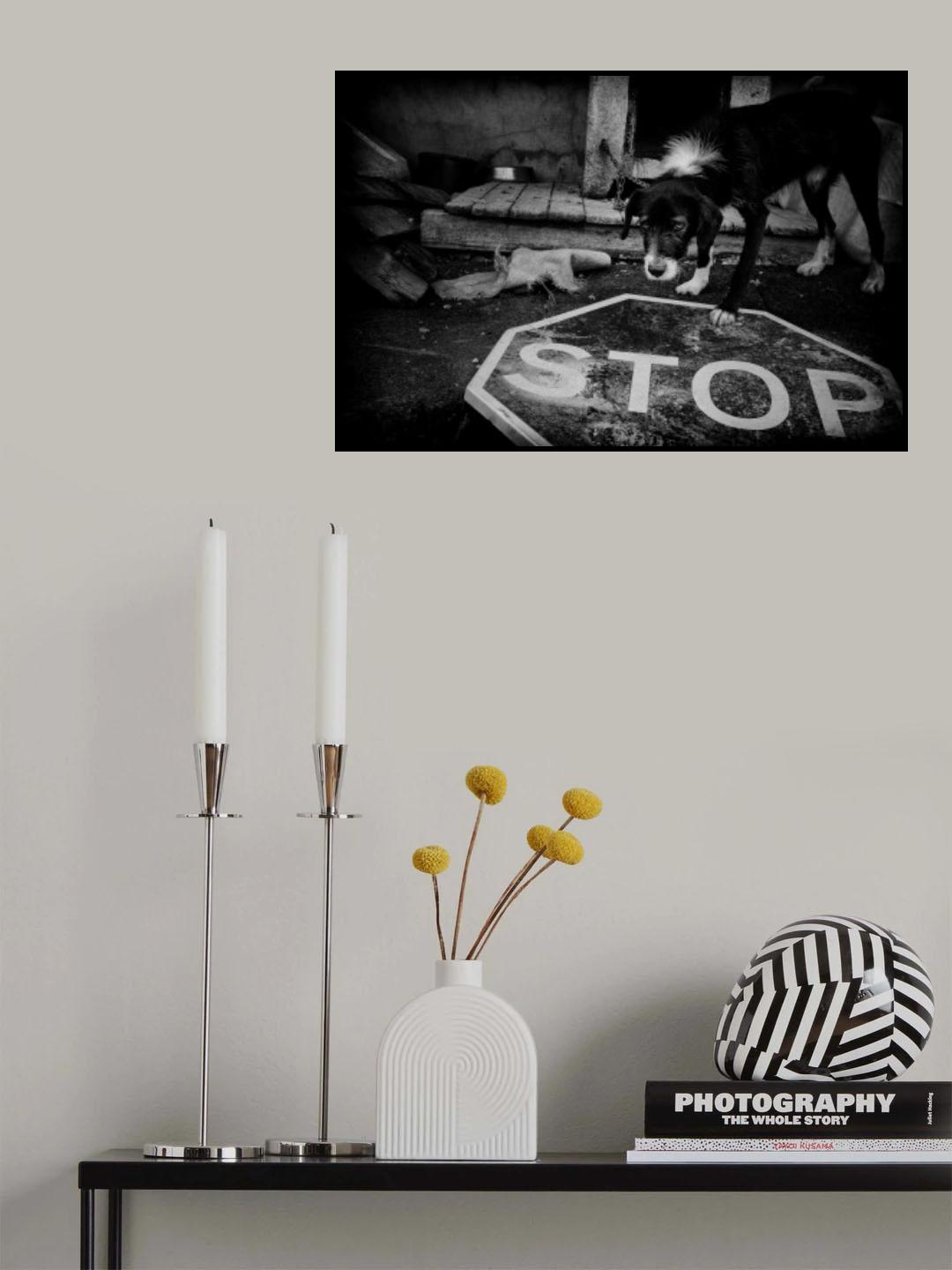 STOP Project Lives on Hold Poster och Canvastavla