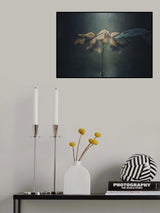 Withe hydrangea Poster och Canvastavla