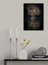 Cypress Reflection Poster och Canvastavla