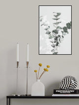 Eucalyptus Creative 07 Poster och Canvastavla