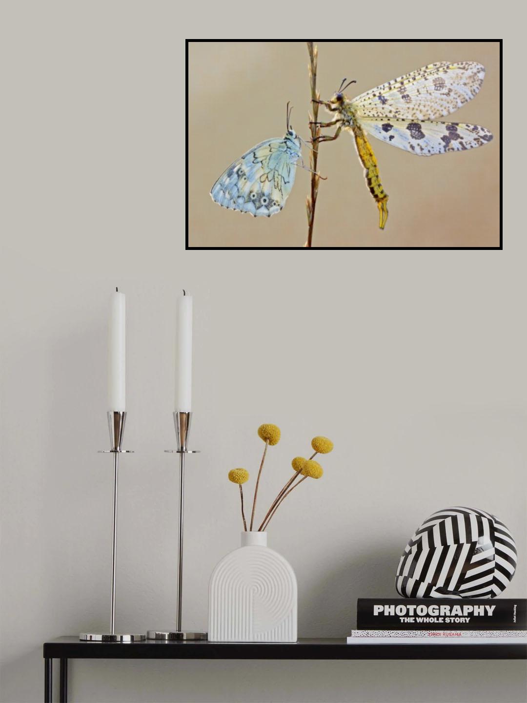 Poster och Canvastavla