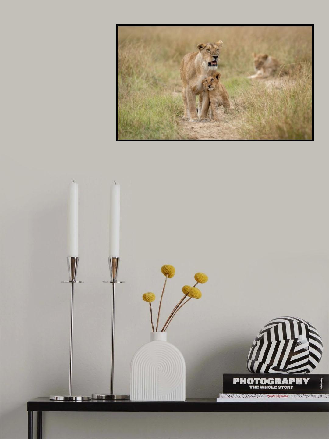 Adoration.... Poster och Canvastavla