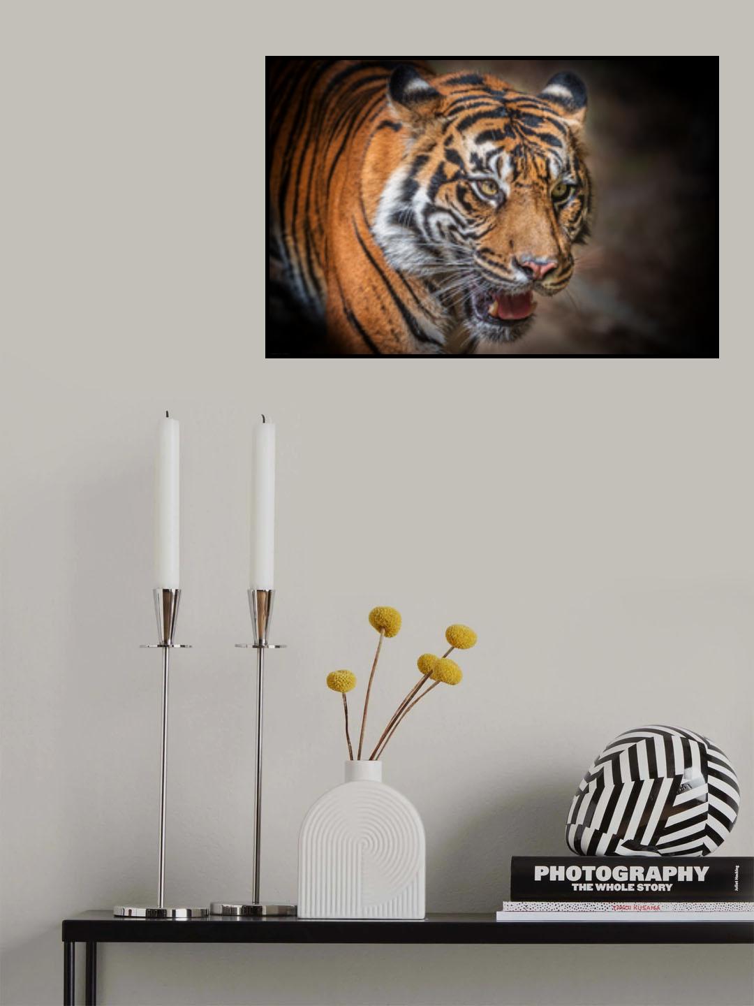 Eye of the tiger Poster och Canvastavla
