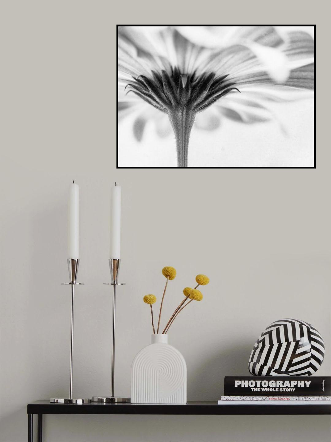 Touched Poster och Canvastavla