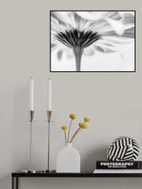 Touched Poster och Canvastavla