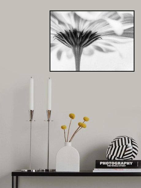 Touched Poster och Canvastavla