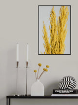 Yellow Grass Close Poster och Canvastavla
