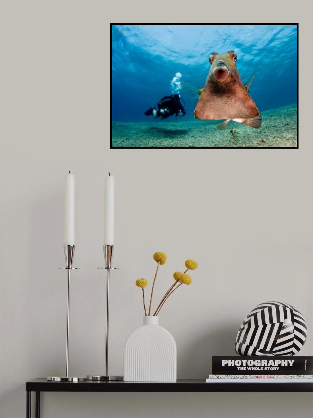 Beauty and the beast Poster och Canvastavla