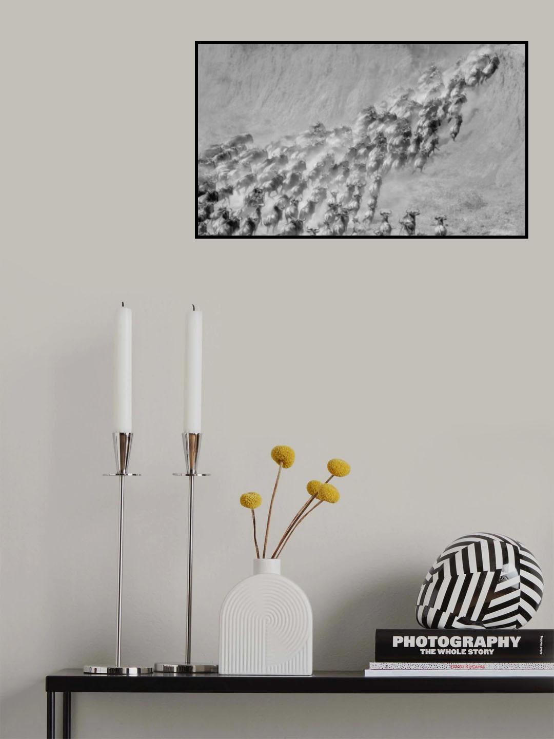 Reverse Migration Poster och Canvastavla