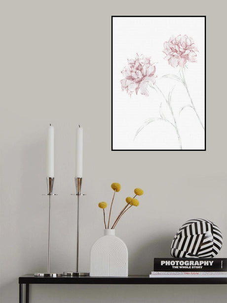 Peony 03 Poster och Canvastavla