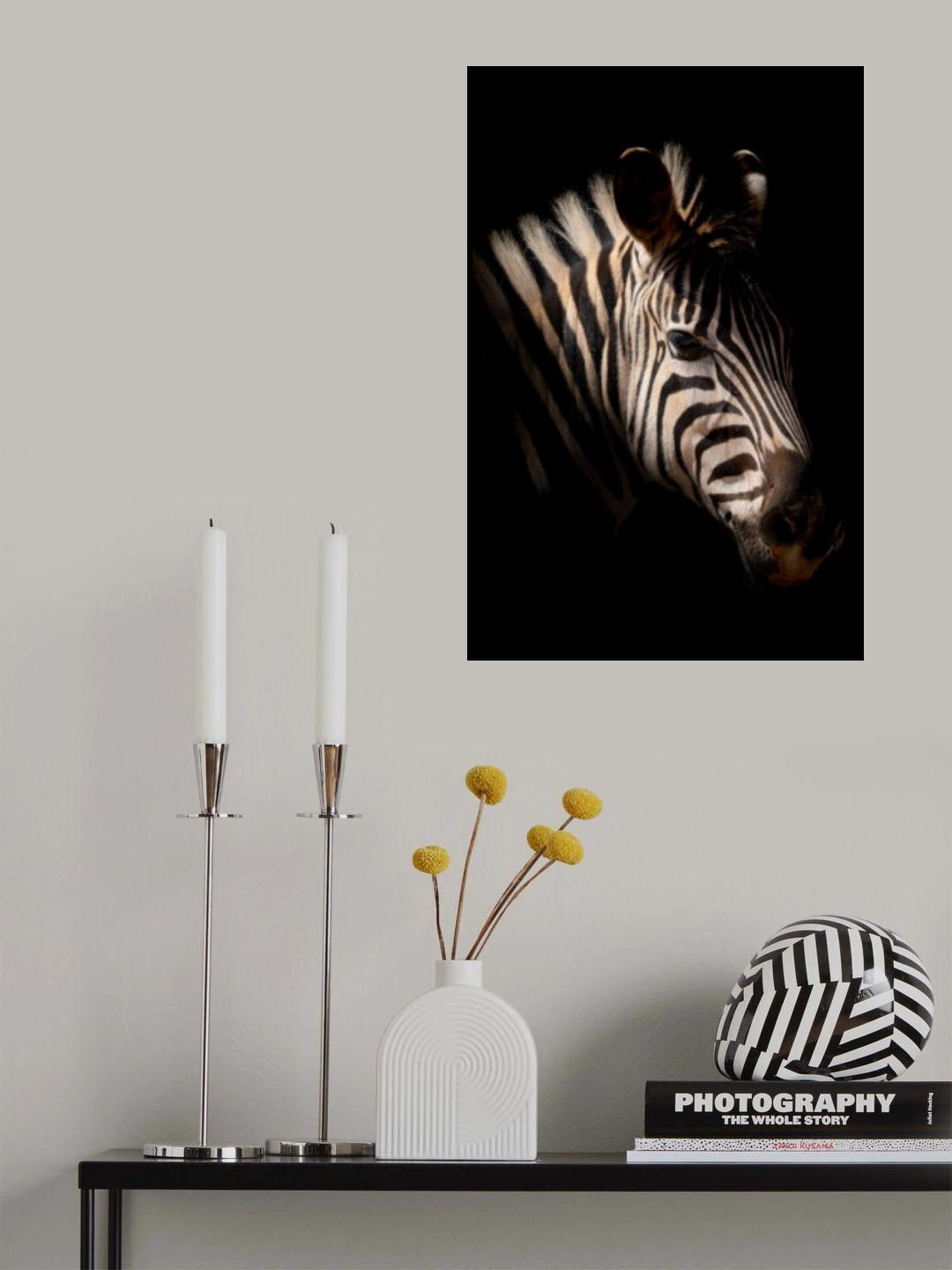 Into the night Poster och Canvastavla