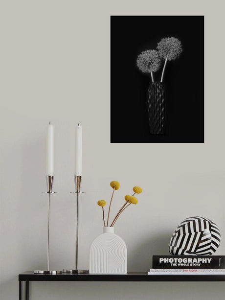Dry Giant Allium Poster och Canvastavla