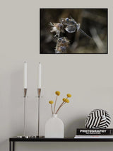 Poster och Canvastavla