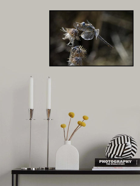 Poster och Canvastavla