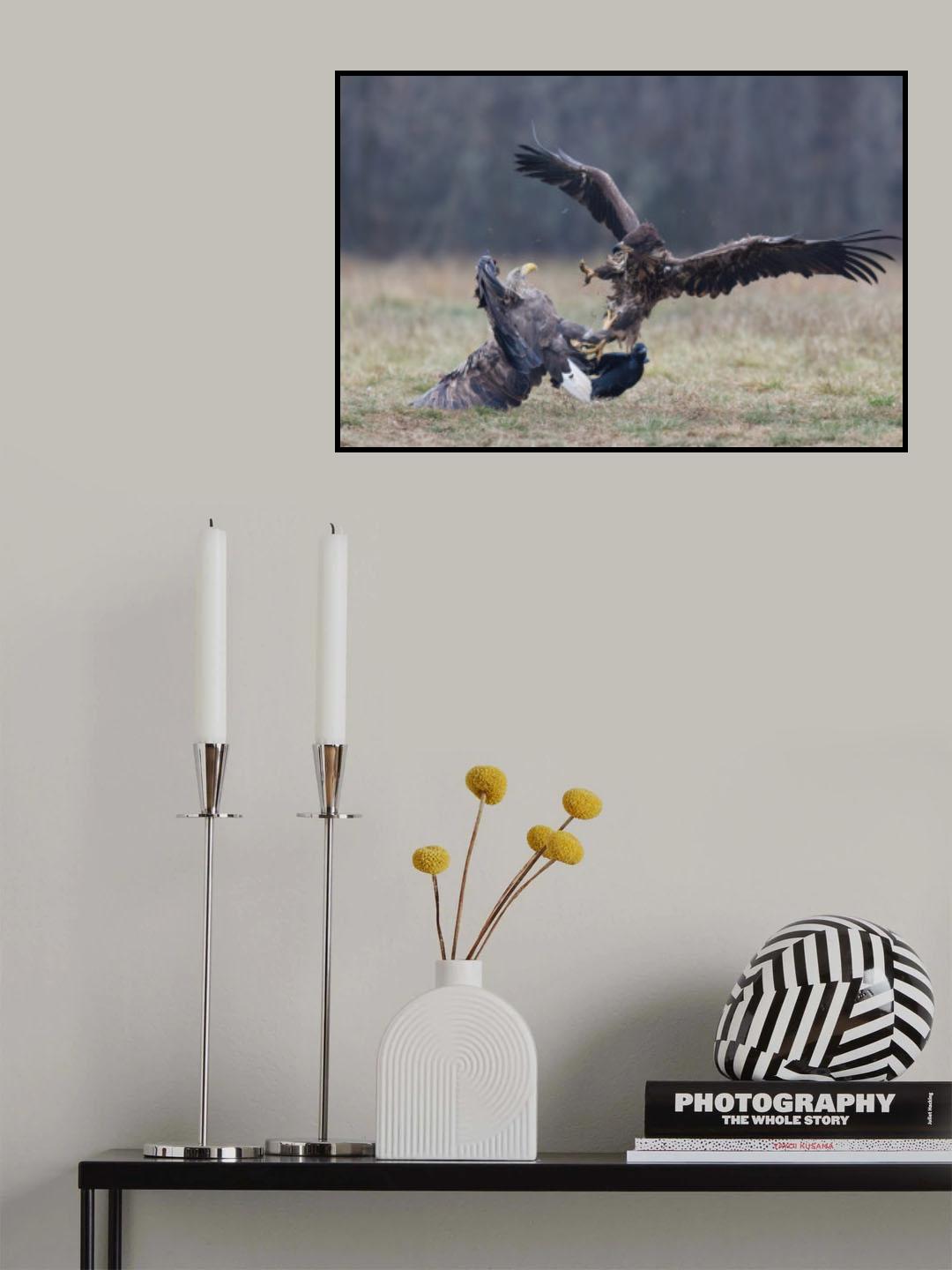 *** Poster och Canvastavla
