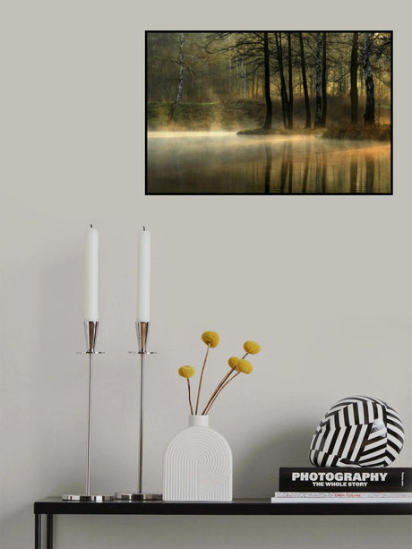 Silent light. Poster och Canvastavla