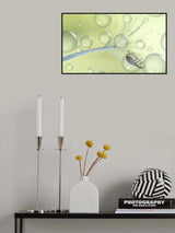 Sheltered in my bubble... Poster och Canvastavla