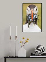 Sixteen sandeels Poster och Canvastavla