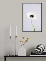Precious Anemone Poster och Canvastavla