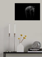 majestic grey Poster och Canvastavla
