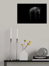 majestic grey Poster och Canvastavla